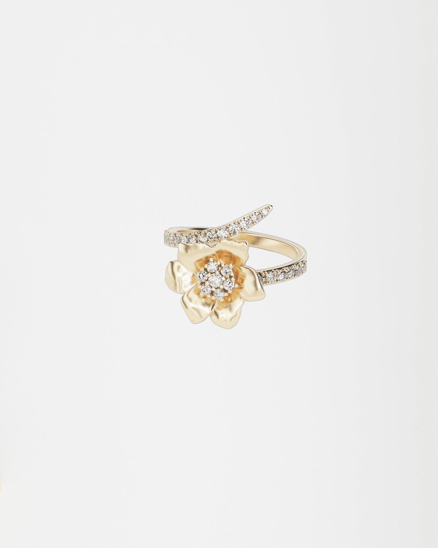 Gold Ring Anemone
