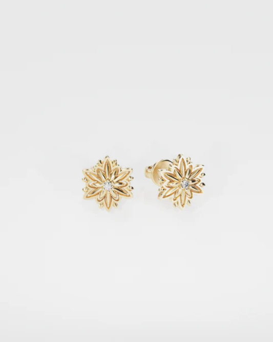 Edelweiss gold earrings (size S)