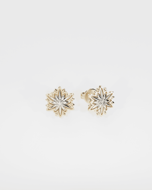 Edelweiss gold  earrings (size S)