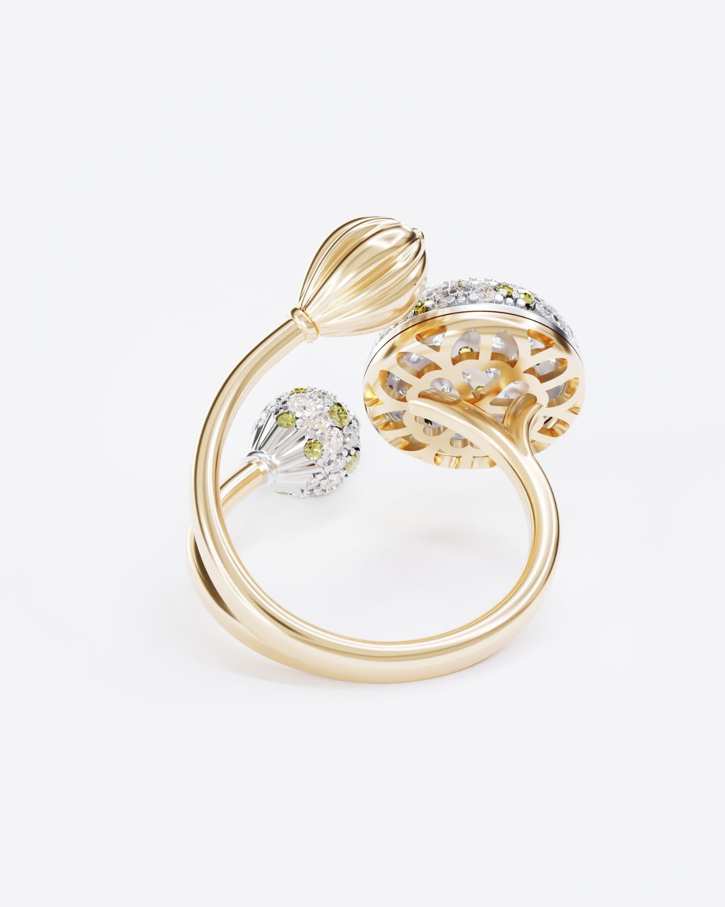 Gold Ring Mimosa