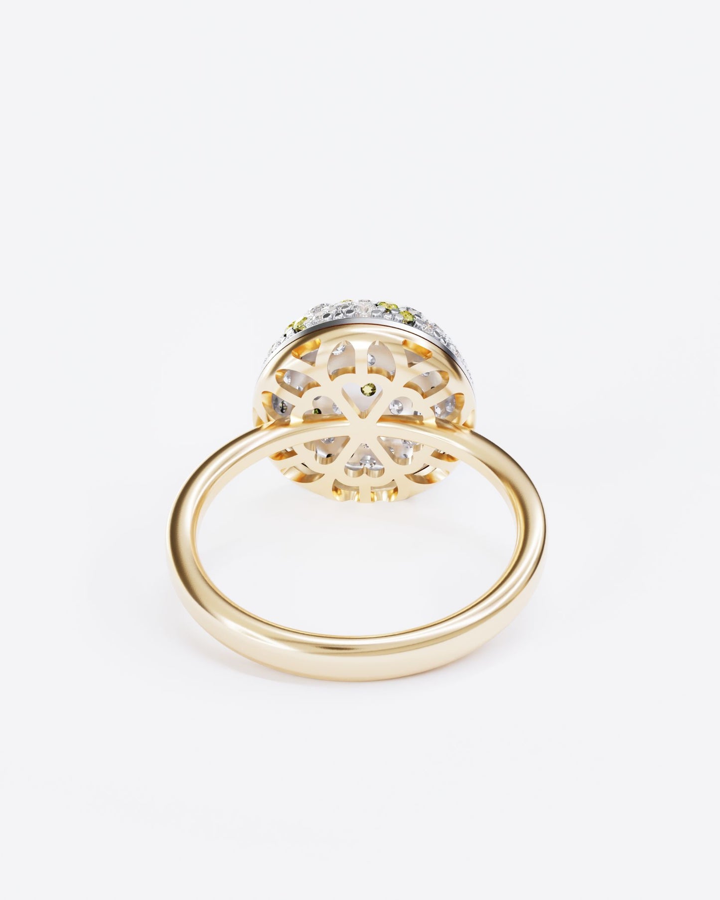 Gold Ring Mimosa