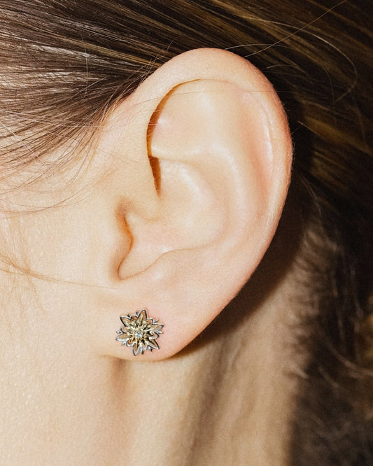 Edelweiss gold  earrings (size S)
