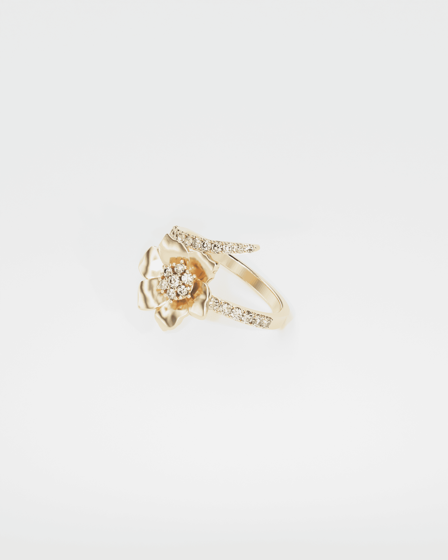 Gold Ring Anemone