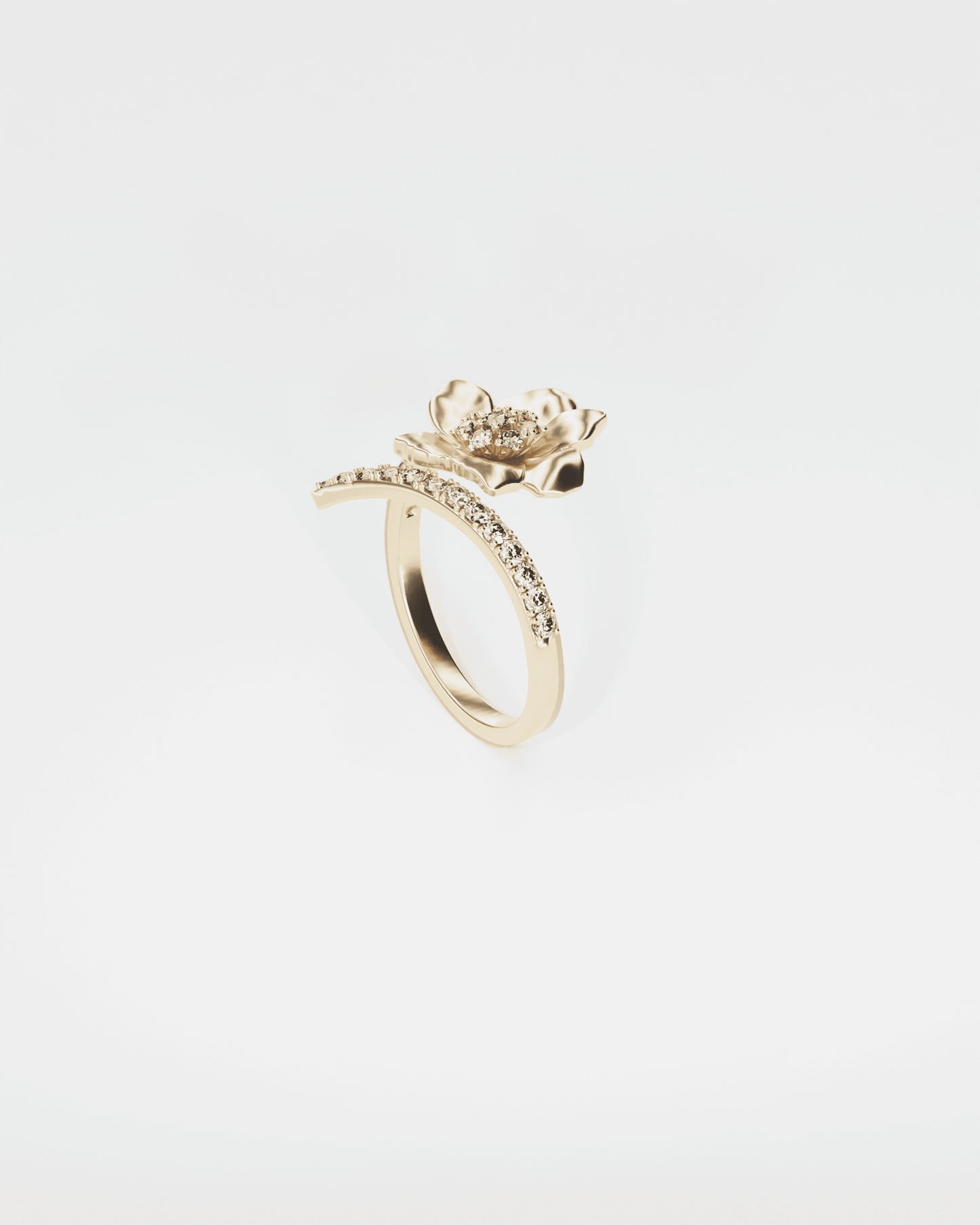 Gold Ring Anemone