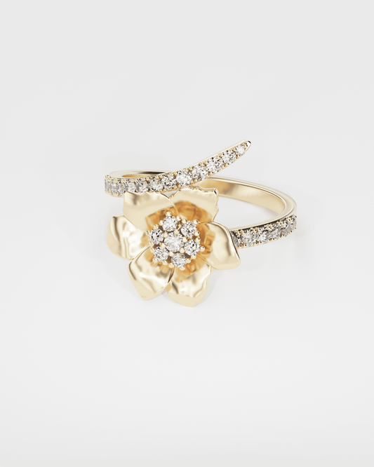Gold Ring Anemone