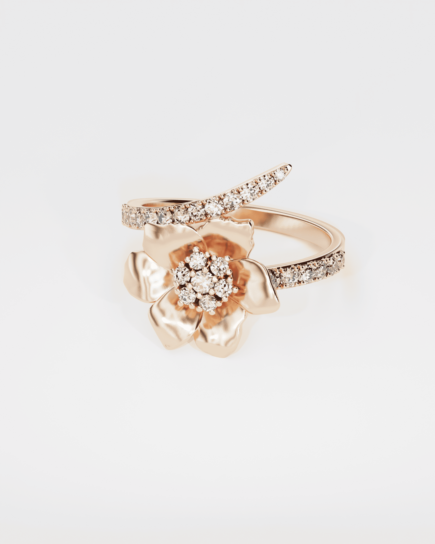 Gold Ring Anemone
